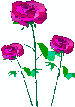 Three Red Roses