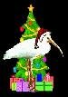 Big Nose Bird Santa