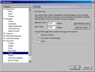 Netscape Cache