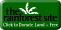 the Rainforest site button